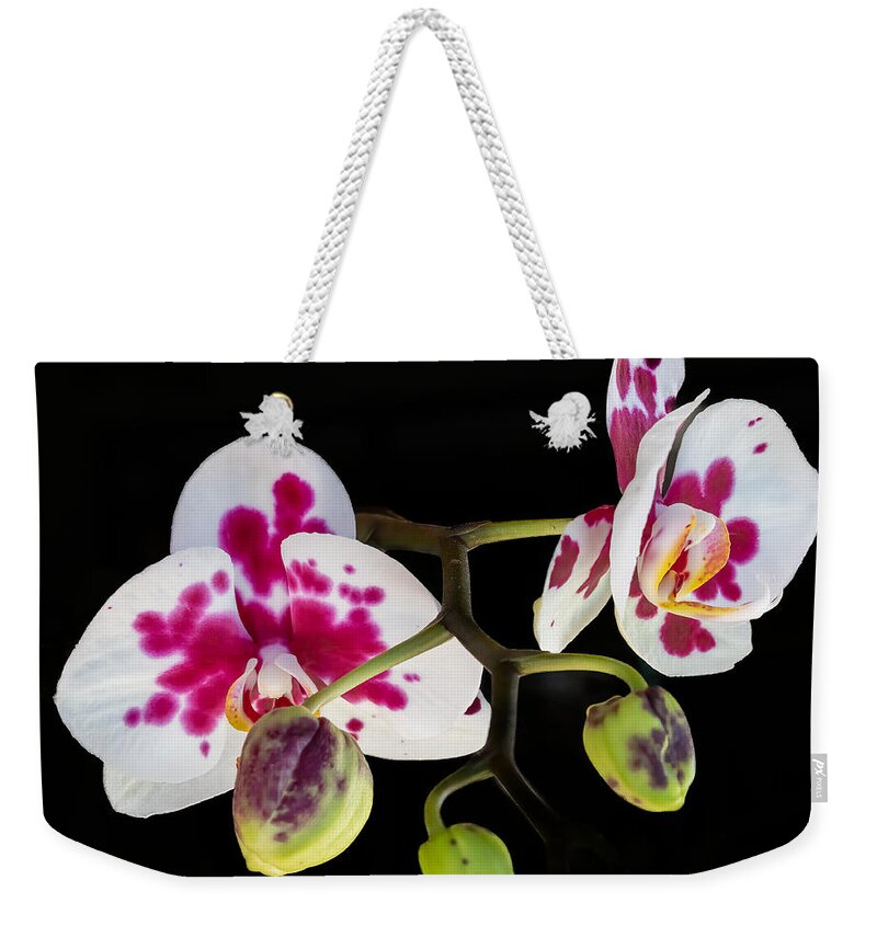 Orchid Weekender Tote Bag featuring the photograph Orchid Transparency by Richard Goldman