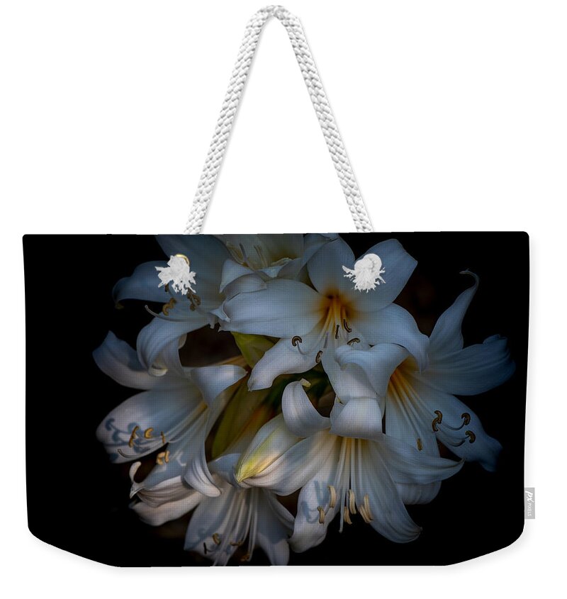 Oriental Lily Weekender Tote Bag featuring the photograph Oriental Lily bulbs, Casablanca, against black by Alessandra RC