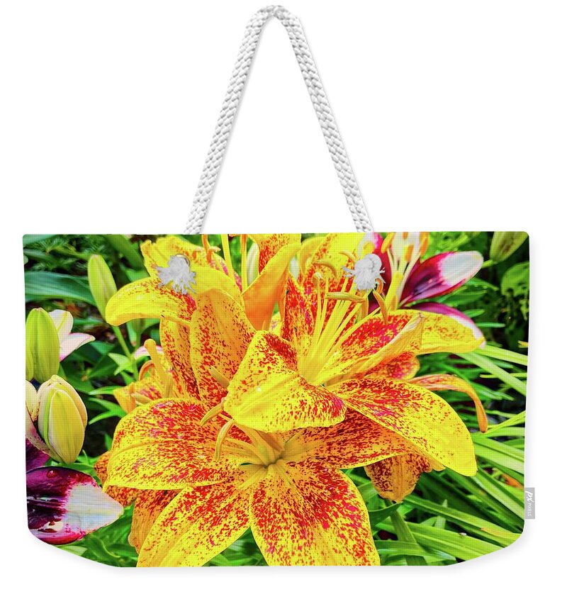 Oriental Lily Weekender Tote Bag featuring the photograph Oriental Lily in Nancy's Garden by Bill Swartwout