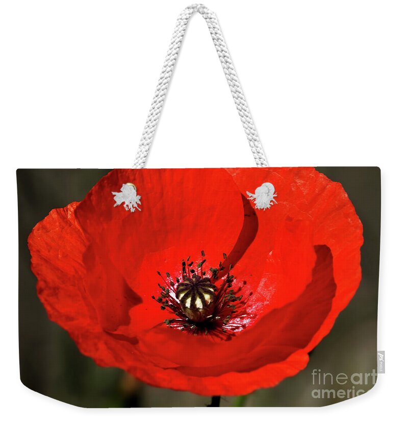 Beautiful Weekender Tote Bag featuring the photograph Oriental summer Poppy by Stephen Melia