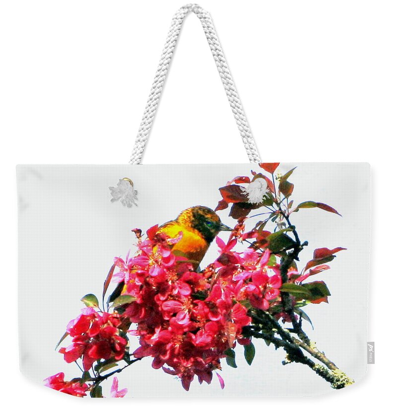 Oriole Weekender Tote Bag featuring the digital art Oriole by Cliff Wilson