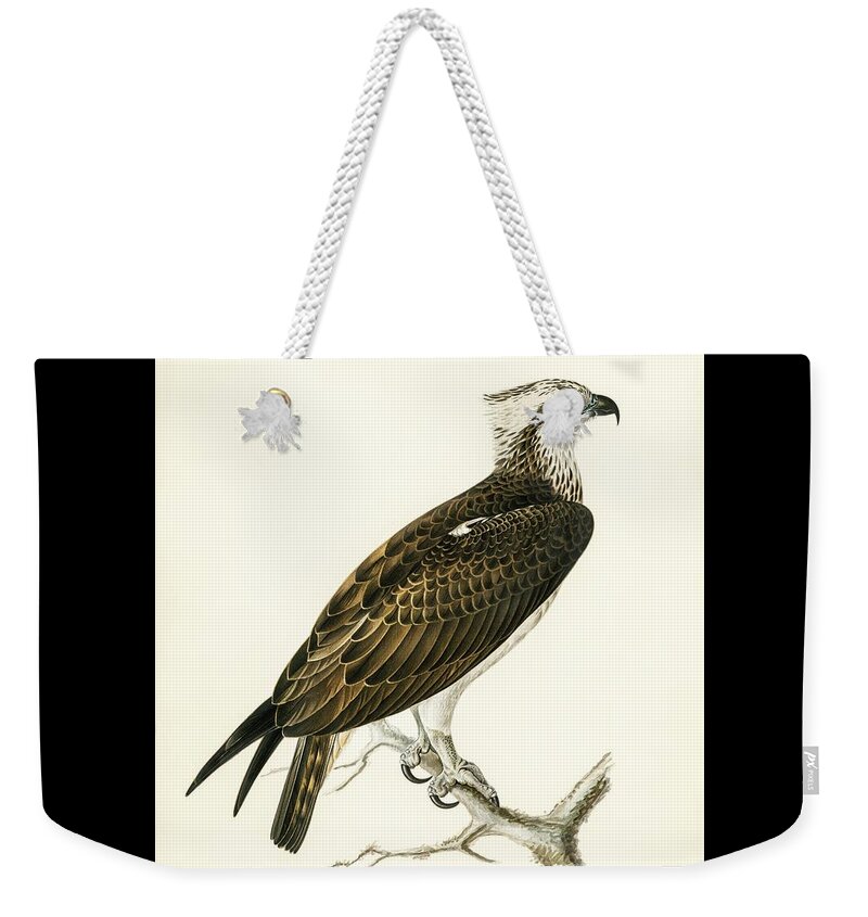 Osprey Weekender Tote Bag featuring the mixed media Osprey by World Art Collective
