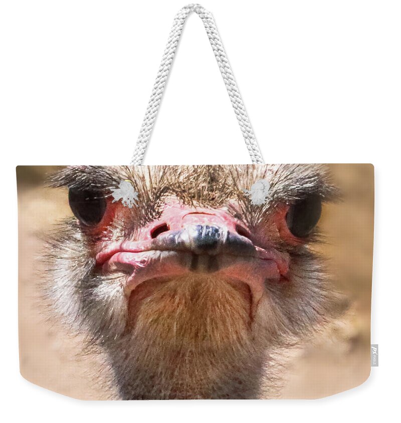 Ostrich Weekender Tote Bag featuring the photograph Ostrich Staredown by Laura Putman