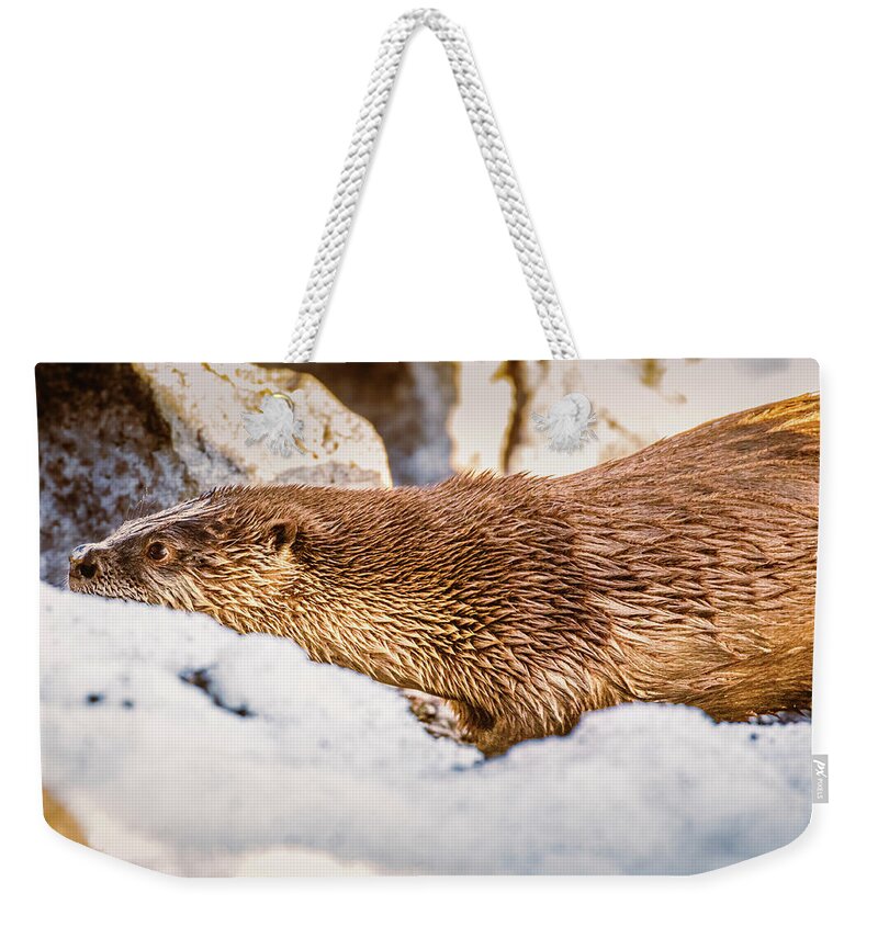 Lake Weekender Tote Bag featuring the photograph Otter Slide by Mike Lee