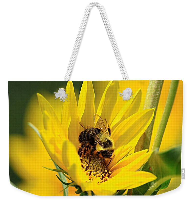 Bee Weekender Tote Bag featuring the photograph Our Best Friend by Mary Walchuck