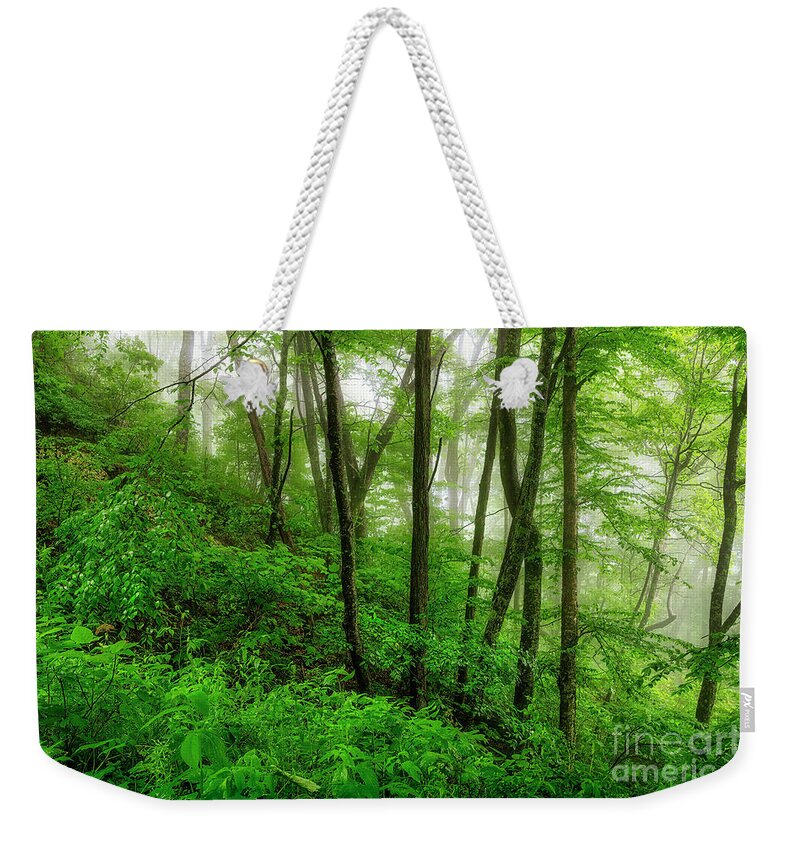 Blue Ridge Weekender Tote Bag featuring the photograph Our Enchanting Blue Ridges by Shelia Hunt