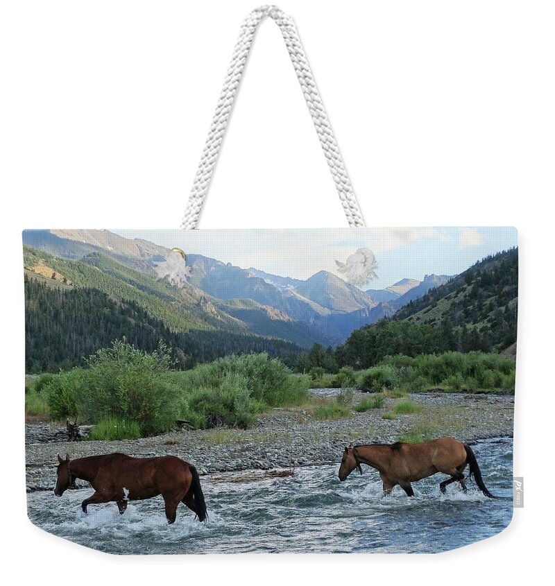 Western Art Weekender Tote Bag featuring the photograph Out for the Night #2 by Alden Ballard