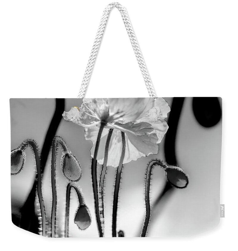 Beautiful Black And White Flower Weekender Tote Bag featuring the photograph Out Of Shadows by Az Jackson