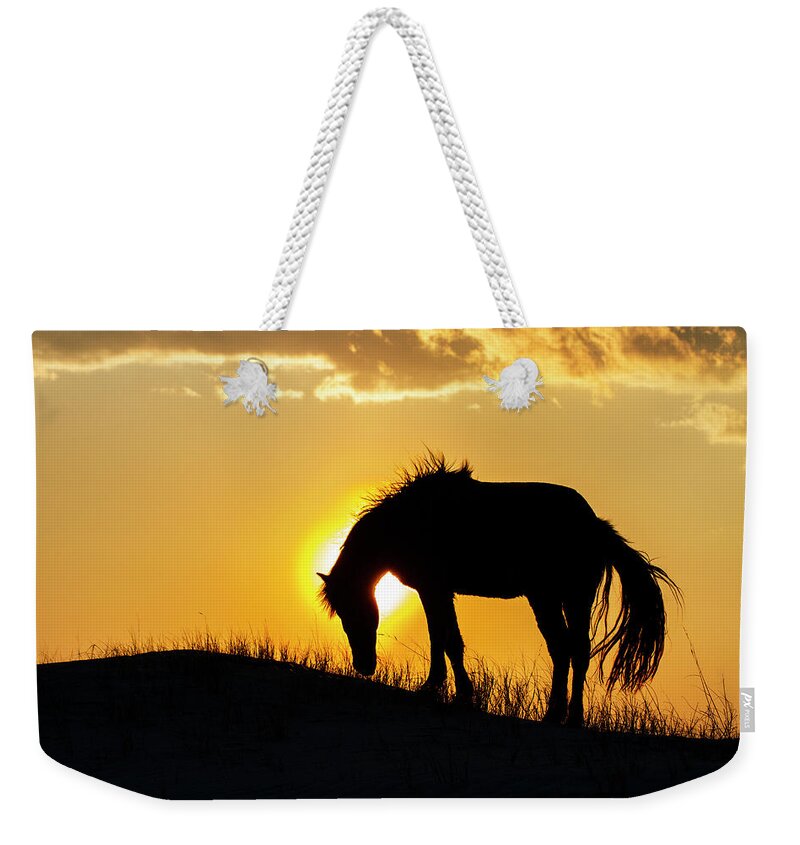 Wild Horse Weekender Tote Bag featuring the photograph Outer Banks Wild Horse Silhouette at Sunset by Bob Decker