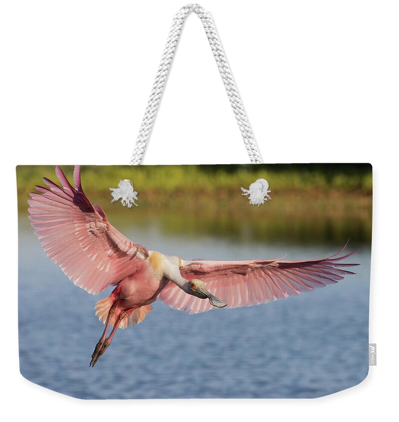 Roseate Spoonbill Weekender Tote Bag featuring the photograph Outstretched by RD Allen