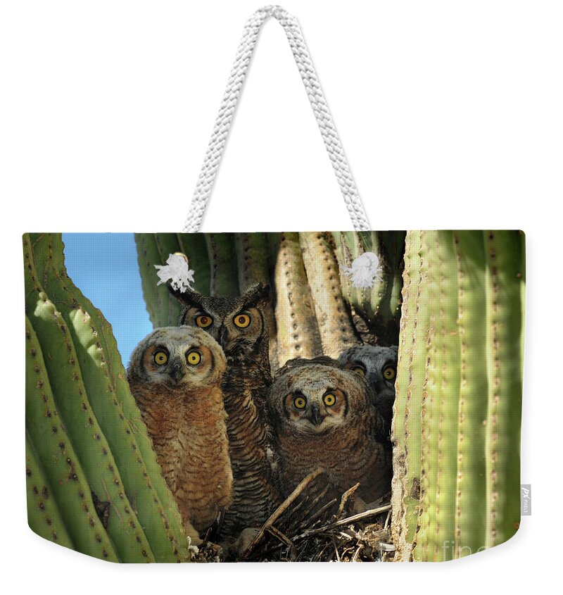 Great Horned Weekender Tote Bag featuring the photograph Owl Family in Saguaro Nest by Joanne West