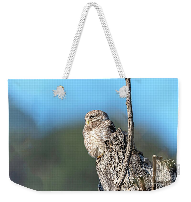 Animal Weekender Tote Bag featuring the digital art Owl on a stump by Pravine Chester