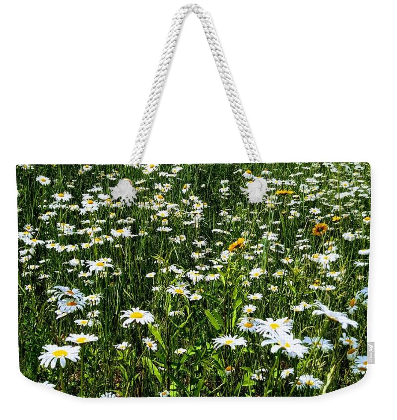 Spring Weekender Tote Bag featuring the photograph Oxeye Daisy meadow by Michael McCormack