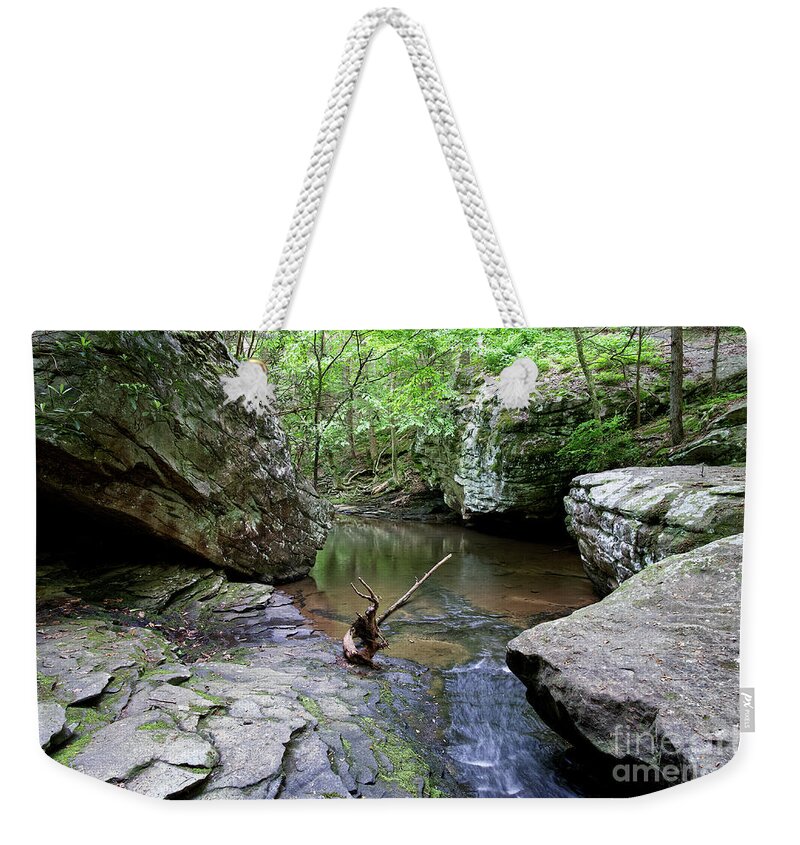 Ozone Falls Weekender Tote Bag featuring the photograph Ozone Falls 41 by Phil Perkins