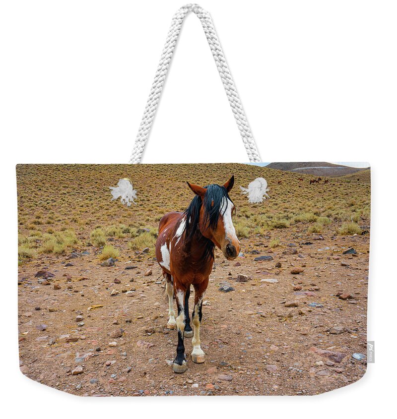 Horse Weekender Tote Bag featuring the photograph Painted Nevada Mustang by Ron Long Ltd Photography
