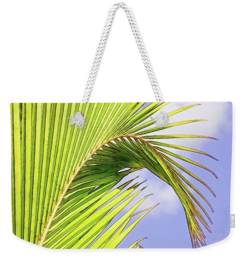 Aruba Weekender Tote Bag featuring the photograph Painterly Palm Leaves In Aruba by Gary Slawsky