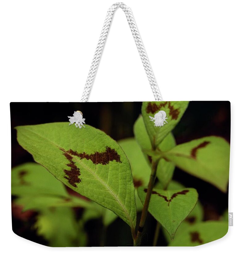 Flower Weekender Tote Bag featuring the photograph Painter's Palette 3 by RicharD Murphy