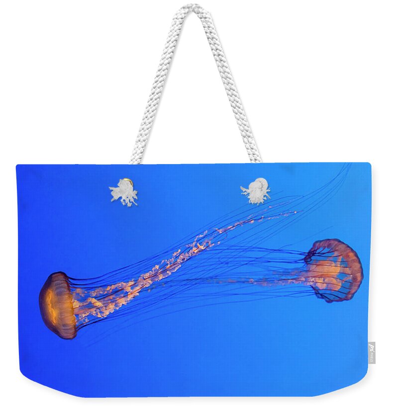 Color Weekender Tote Bag featuring the photograph Pair of Jellyfish by Gary Geddes