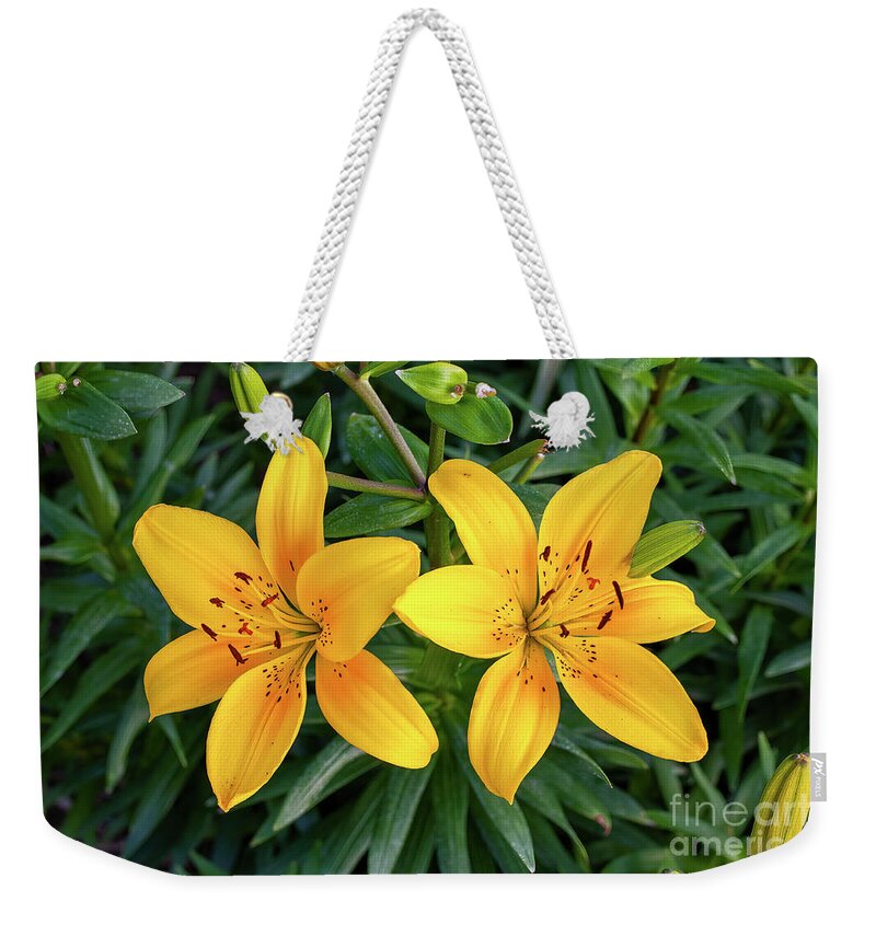 Blossom Weekender Tote Bag featuring the photograph Pair of Yellow Lilies by William Kuta