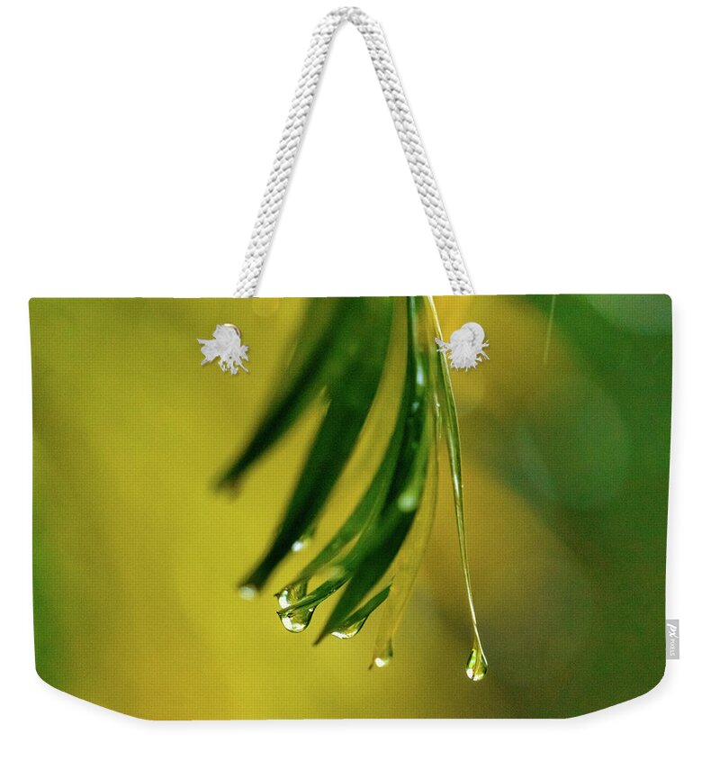 Palm Weekender Tote Bag featuring the photograph Palm Frond In The Rain by Christopher Johnson