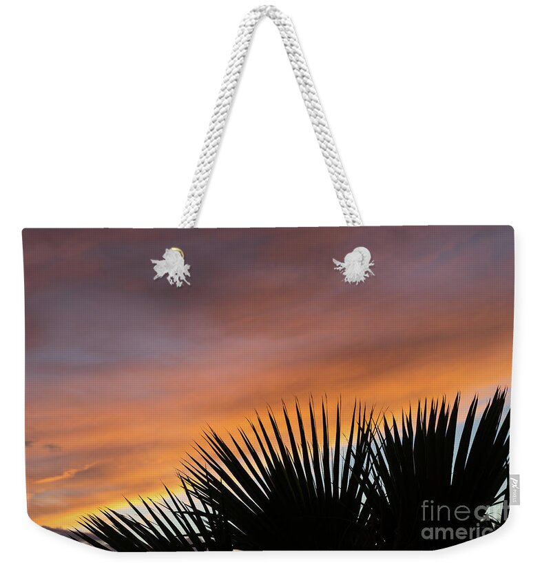 Palm Leaves Weekender Tote Bag featuring the photograph Palm leaves and soft clouds at sunset by Adriana Mueller