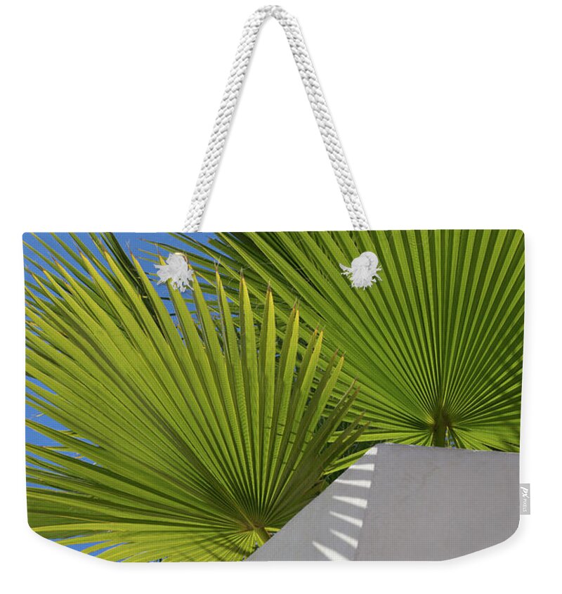 Palm Leaf Weekender Tote Bag featuring the photograph Green palm leaves, blue sky and white wall of a modern finca 1 by Adriana Mueller
