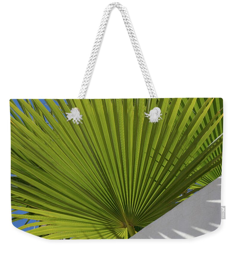 Palm Leaf Weekender Tote Bag featuring the photograph Green palm leaves, blue sky and white wall of a modern finca 2 by Adriana Mueller