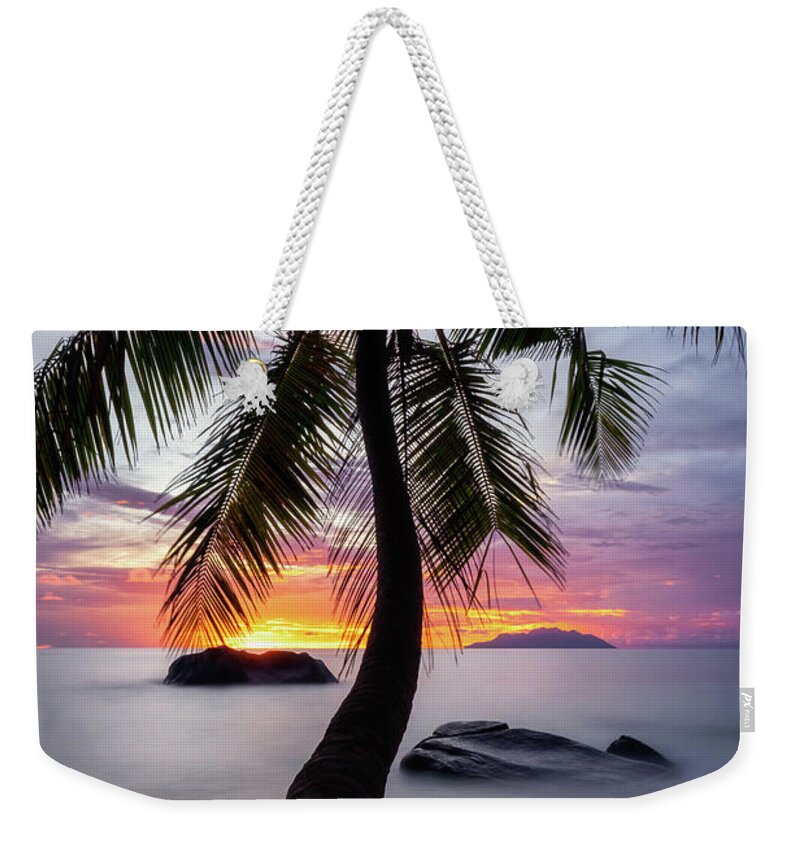 Palm Weekender Tote Bag featuring the photograph Palm tree by Erika Valkovicova