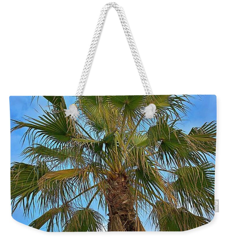 Andalusia .andalucia Weekender Tote Bag featuring the photograph Palm Tree by Yvonne M Smith