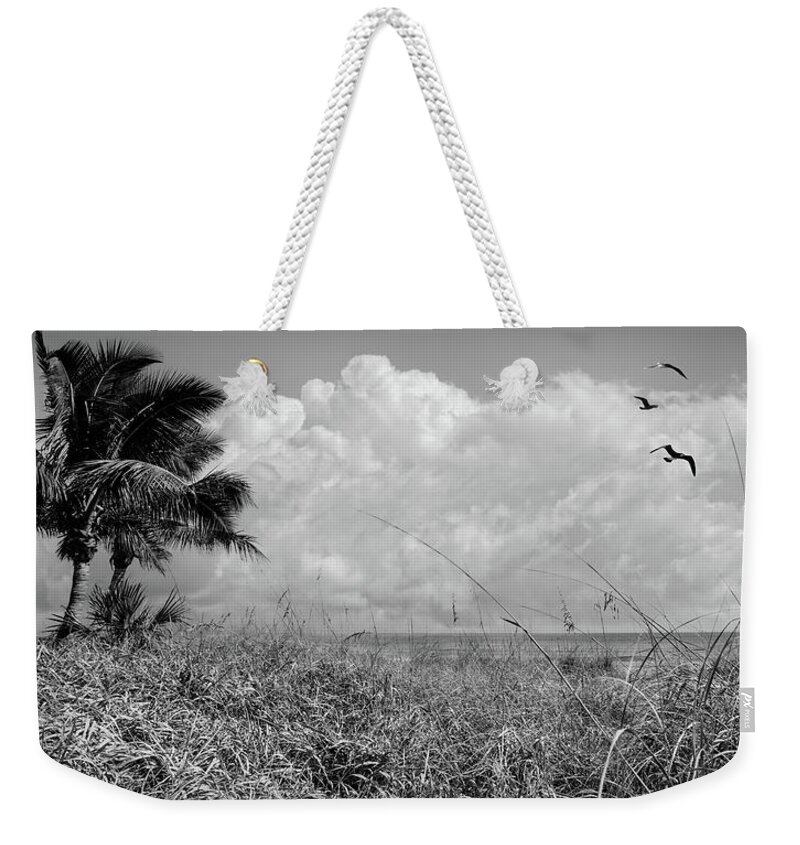 Black Weekender Tote Bag featuring the photograph Palm Trees on the Sand Dunes Black and White by Debra and Dave Vanderlaan