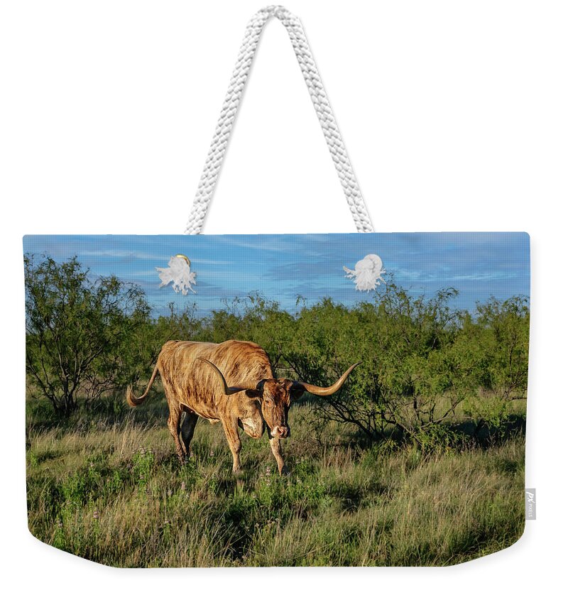 Texas Weekender Tote Bag featuring the photograph Palo Duro Canyon Long Horn by Laura Hedien