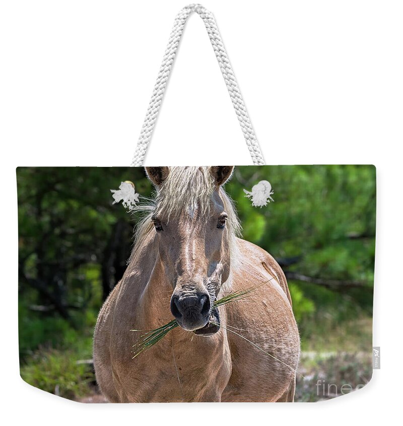 Horse Weekender Tote Bag featuring the photograph Palomino horse by Rehna George