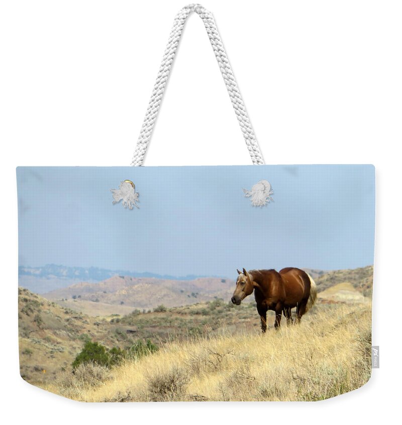 Palomino Weekender Tote Bag featuring the photograph Palomino in the Badlands by Katie Keenan