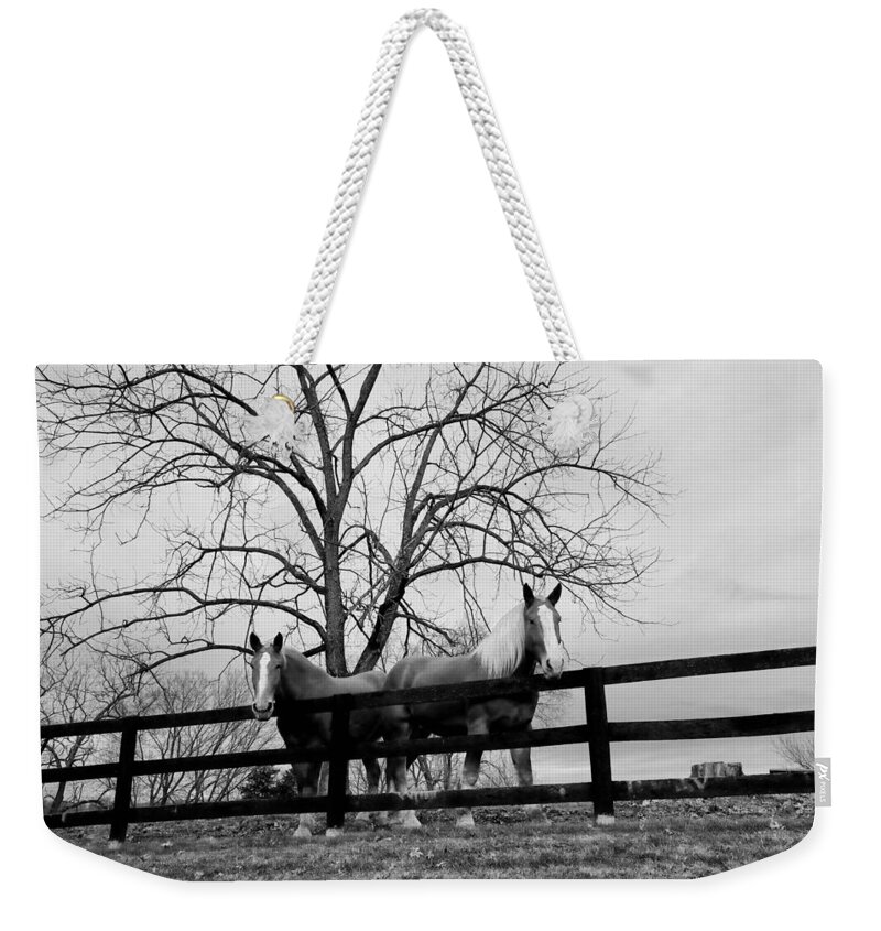 Horse Weekender Tote Bag featuring the photograph Pals in a Pasture at Day's End by Steve Ember