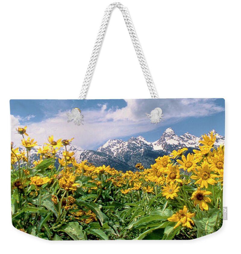 Dave Welling Weekender Tote Bag featuring the photograph Panoramic Balsamroot Below The Teton Range by Dave Welling