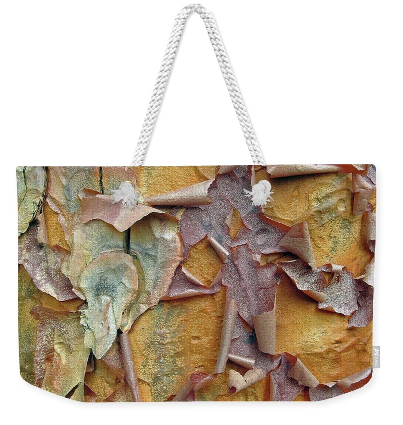 Tree Weekender Tote Bag featuring the photograph Paperbark Maple Tree by Jessica Jenney