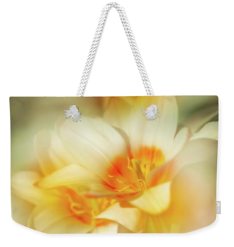Liliaceae Family Weekender Tote Bag featuring the photograph Paradise Found by Venetta Archer