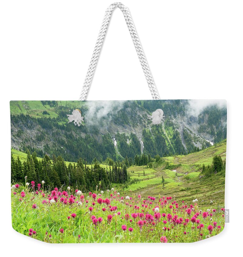 Flowers Weekender Tote Bag featuring the photograph Paradise Valley Paintbrush by Louise Kornreich