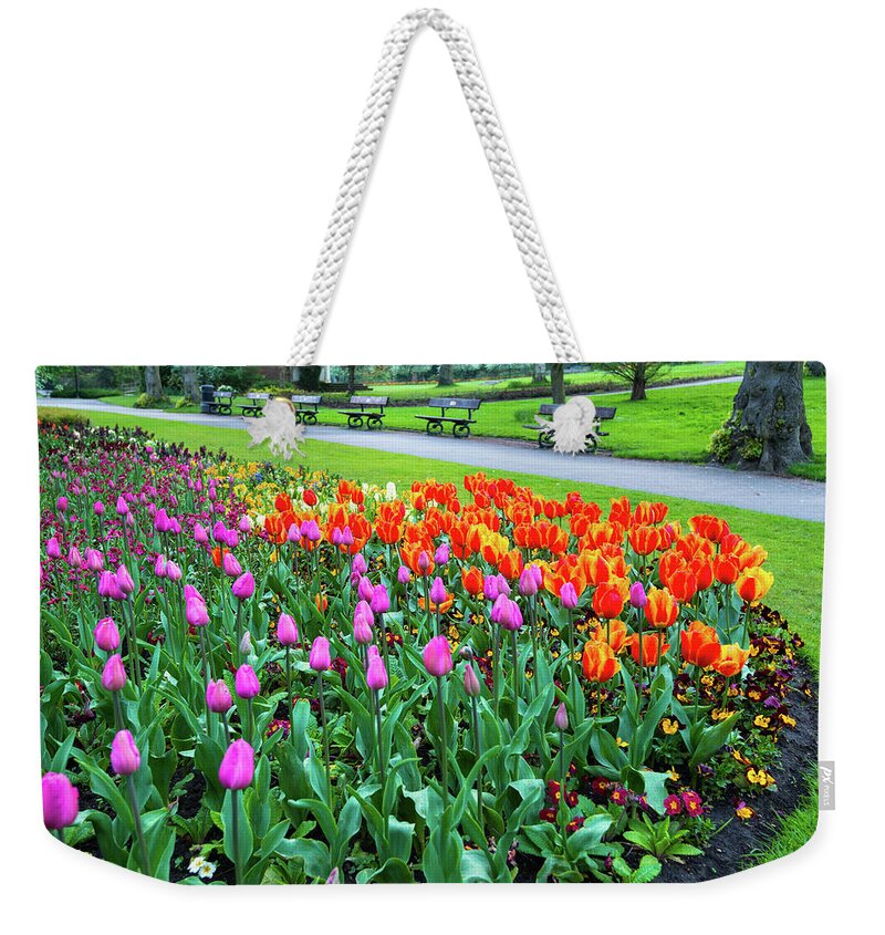 Bloom Weekender Tote Bag featuring the photograph Park Benches and Tulips to Brighten the Day by Dennis Dame