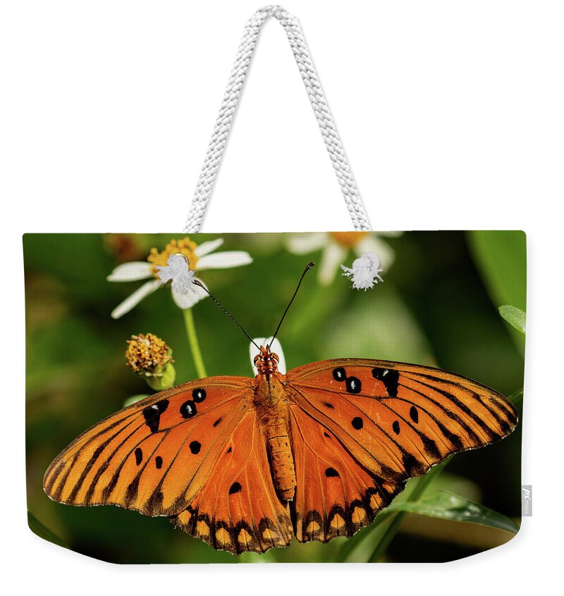 Gulf Fritillary Weekender Tote Bag featuring the photograph Passion Butterfly warms in the sun by RD Allen