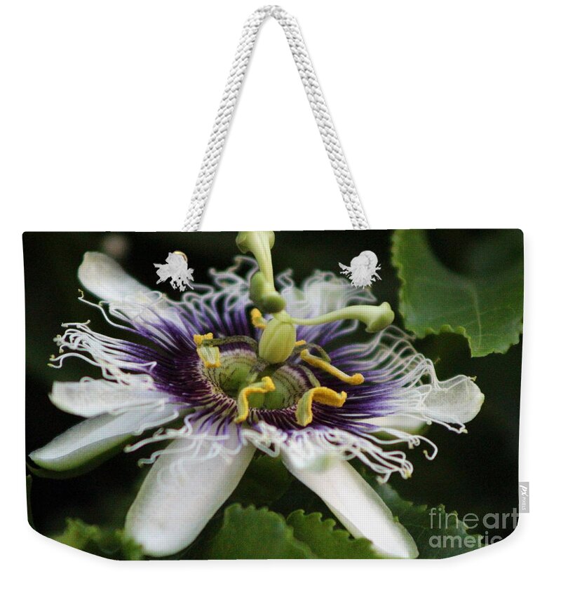 Passion Fruit Weekender Tote Bag featuring the photograph Passion Flower Closeup 3 by Colleen Cornelius