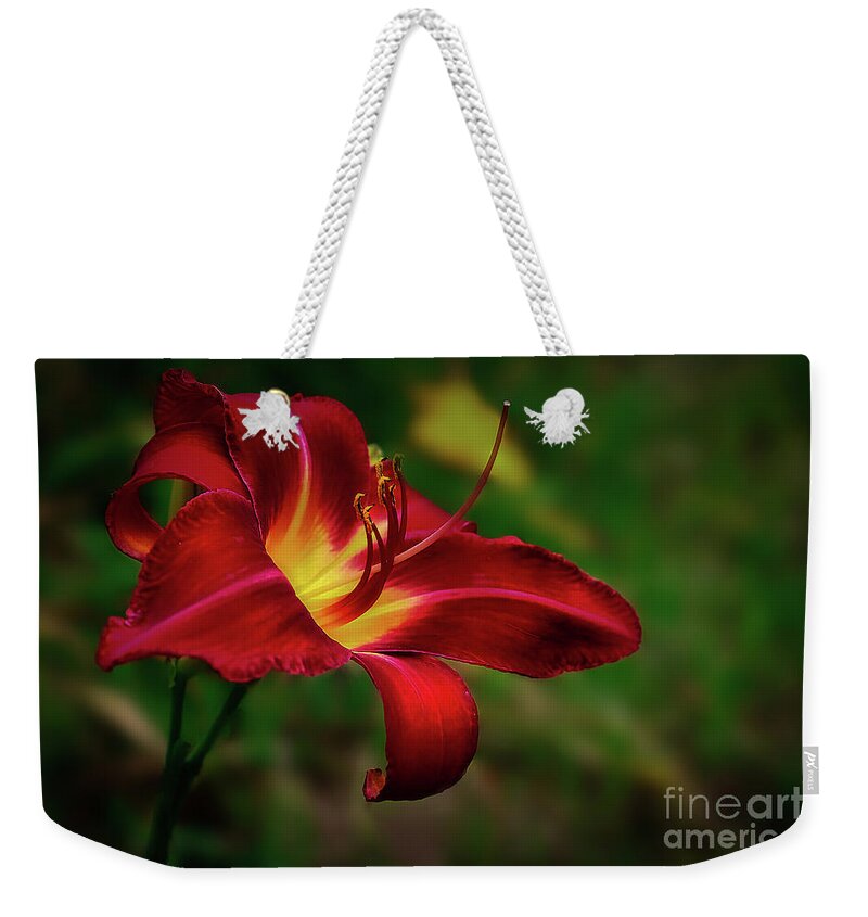 Blossom Weekender Tote Bag featuring the photograph Passion for Red Daylily by Shelia Hunt