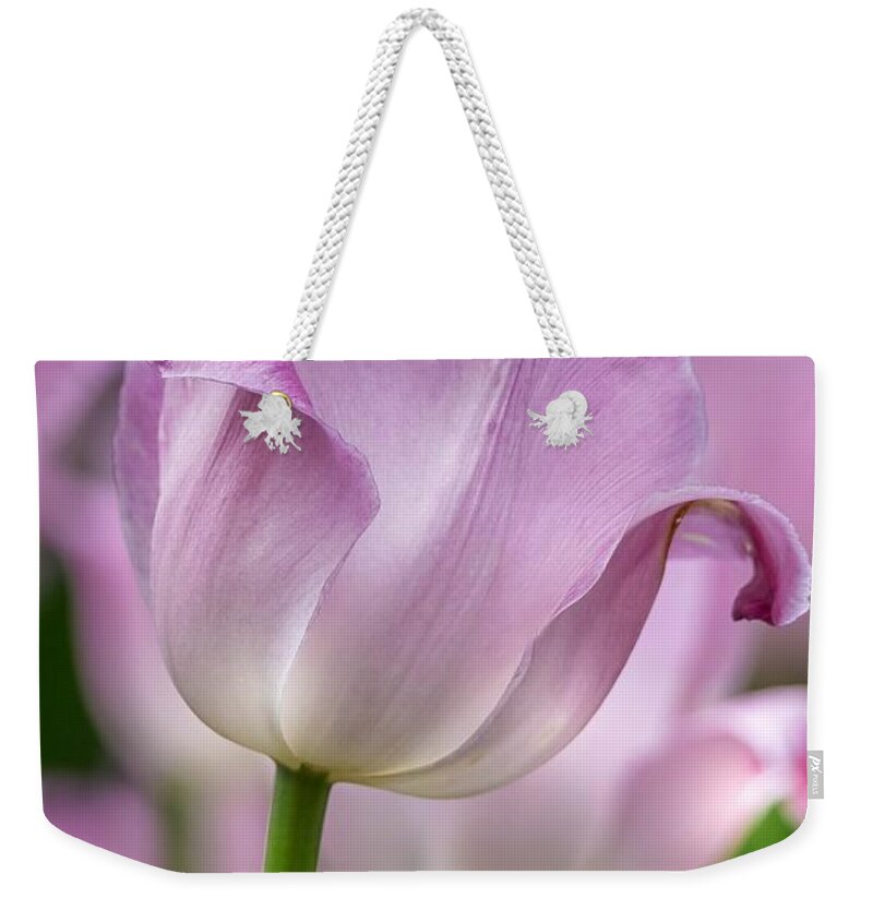 Tulip Weekender Tote Bag featuring the photograph Passion by Susan Rydberg