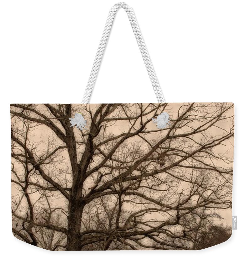 Pasture Weekender Tote Bag featuring the photograph Pasture with Old Tree by Karen Harrison Brown