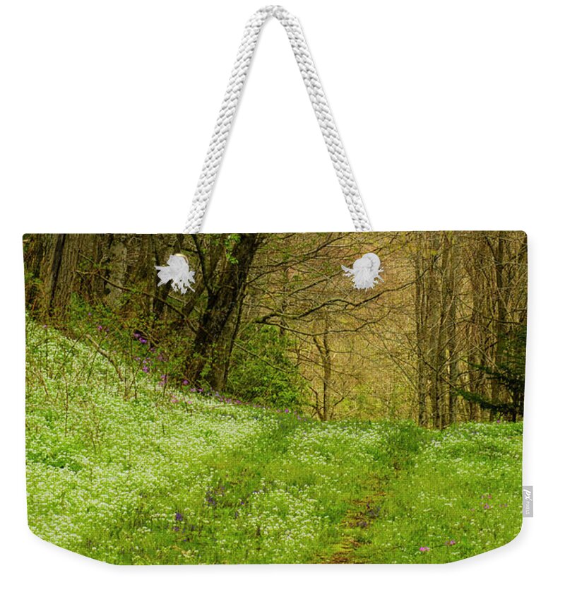 Blue Ridge Mountains Weekender Tote Bag featuring the photograph Path Less Traveled by Melissa Southern