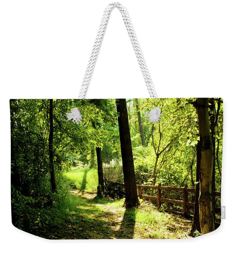 Trees Weekender Tote Bag featuring the photograph Path out of Summer by Christopher Reed