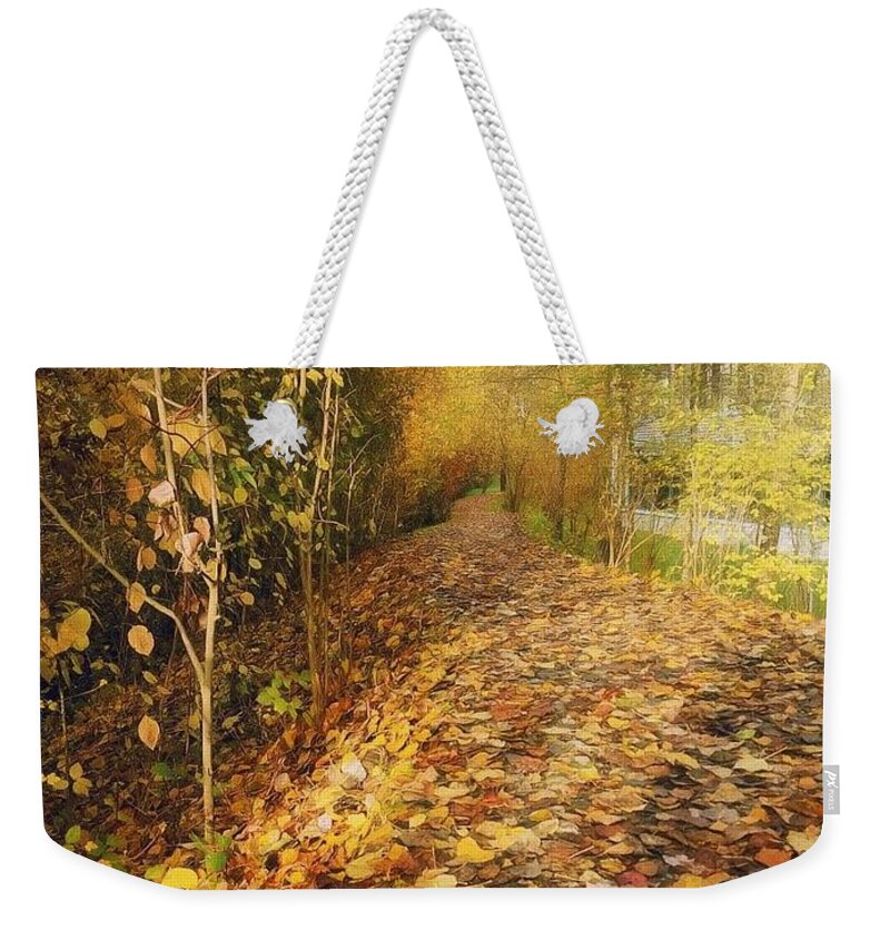 Highschool Weekender Tote Bag featuring the photograph Path To School by Claudia Zahnd-Prezioso