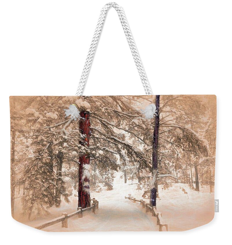Bryce National Park Weekender Tote Bag featuring the photograph Pathway to Bryce Canyon by Wayne King