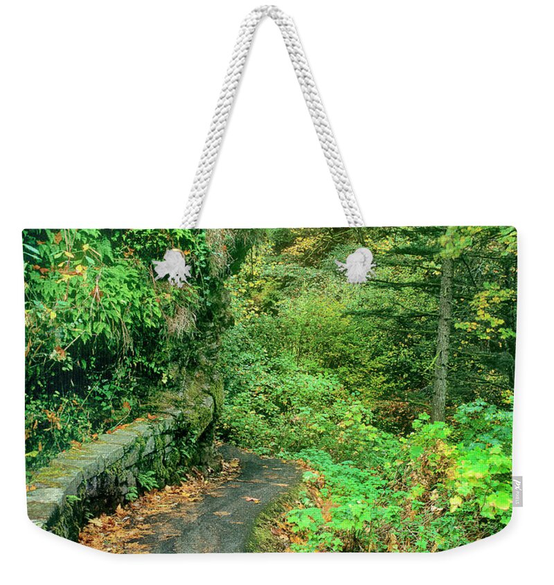 Dave Welling Weekender Tote Bag featuring the photograph Pathway To Latourelle Falls Columbia River Gorge National Park by Dave Welling