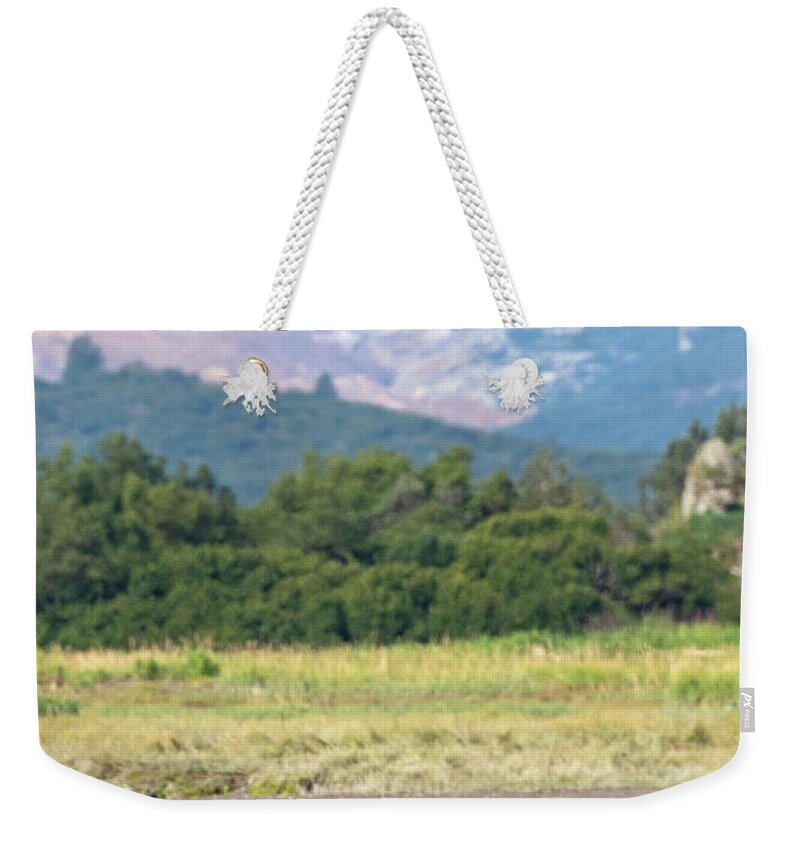 Brown Bear Weekender Tote Bag featuring the photograph Patience by Shari Sommerfeld